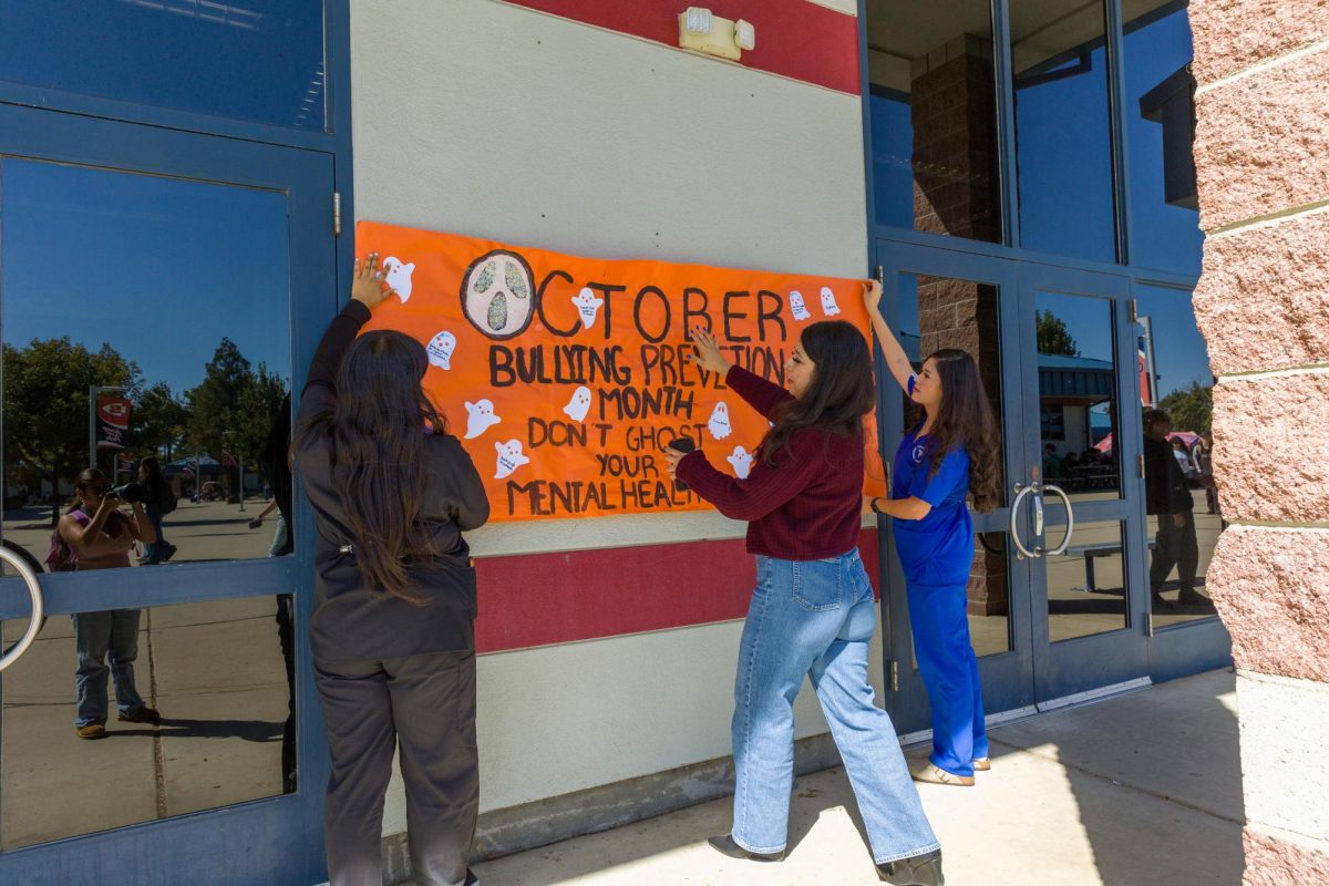 Mrs. Montes and NAMI members putting posters up for bully prevention week. 